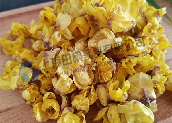 臘梅花凍干，鮮花冷凍干燥機(jī)