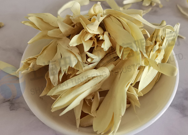 白玉蘭凍干，鮮花凍干機(jī)應(yīng)用于白玉蘭真空冷凍干燥